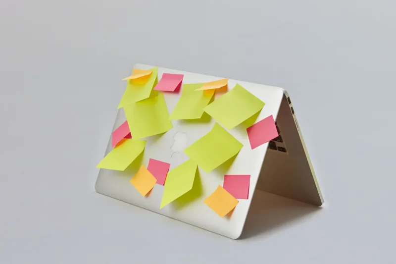 Too Many Opinions, Not Enough Direction: Building Your Personal Feedback Filter as a Digital Artist